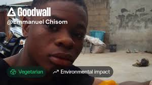 Emmanuel Chisom's post