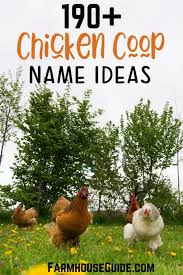 190 Name Ideas For A Chicken Coop Farmhouse Guide You can go for funny chicken names or funny rooster names , or you can opt for more classic monikers. 190 name ideas for a chicken coop