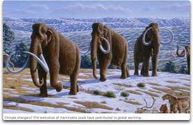 The woolly mammoth is the smaller variety that generally inhabited the north. Woolly Mammoths May Have Lived Thousands Of Years After Supposed Extinction Watts Up With That