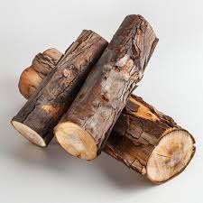 Image result for Brachylaena huillensis