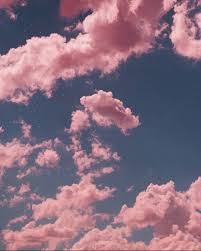 The pink flowers and the blue sky lend to this the white clouds in this aesthetic background are magic. Pink Clouds Aesthetic