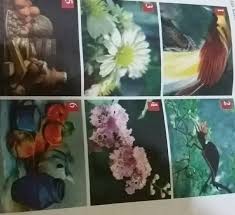 Menggambar bersama pak ady seorang pelukismenggambar flora,fauna dan alam benda1. Apa Nama Gambar Gambar Flora Fauna Dan Alam Benda Diatas Brainly Co Id
