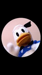 Ni el pato Donald puedo evitar a Pedro Pedro Pedro....🎼🎶🎵