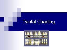Dental Charting Ppt Video Online Download
