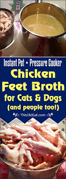 Bone broth for dogs and cats. Pressure Cooker Chicken Feet Broth For Cats Dogs Paws This Old Gal