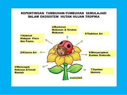 Pada peta topografi, terdapat pelbagai jenis pandang darat fizikal dan pandang darat budaya. Himpunan Nota Geografi Tingkatan 4 Yang Penting Untuk Para Ibubapa Dapatkan Cikgu Ayu