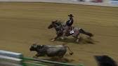 05:51 clinton anderson's titan, ridden by andrea fappani, won the 2018 cactus reining classic open derby. Titan S 2018 Cactus Reining Classic Open Derby Run Youtube