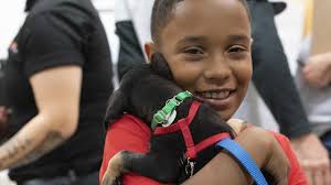 Hundreds Line Up to Clear the Shelters of Pets in NYC