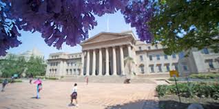 The university wits include christopher marlowe, robert greene, and thomas. Stories Jacarandas Then And Now Wits University
