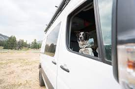 Train your dog using positive reinforcement techniques. How To Road Trip With Your Dog 15 Practical Tips Bearfoot Theory