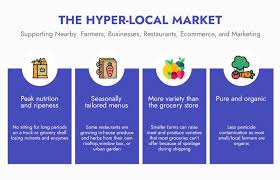 Hyperlocal Delivery Business Model Complete Guide