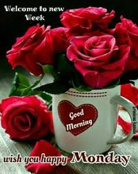 Nonton anime sub indo, download anime sub indo. 57 Ide Katabijak Kata Kata Kutipan Lucu Cartoon Jokes