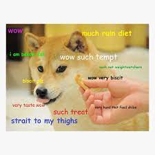 The meme experts suppose that the birthplace of the doge original image is tumblr, as it appeared firstly in one of the blogs there. The 8 Best Doge Memes