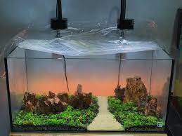 Playing Around With A Sunset Theme Aquascape Aquascape Hardscape Sunset