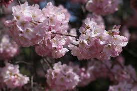 This long list of products also includes vitamins and h. First Day Of Spring Things To Love About The Season Even Amid A Pandemic