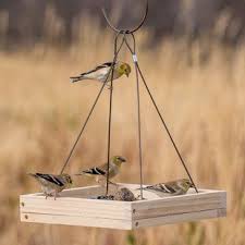 Bird Feeder Pole Home Depot Zenport Platform Tray Bird Feeder Wayfair In 2020 Wooden Bird Feeders Hanging Bird Feeders Wood Bird Feeder