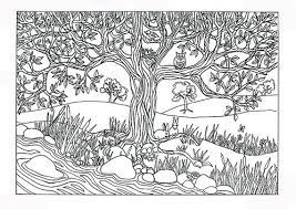 These spring coloring pages are sure to get the kids in the mood for warmer weather. Tree River Nature Scene Coloring Page Coloring For Adults Coloring Pages Nature Tree Coloring Page Coloring Pictures