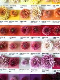 Organic flower growers, fresh seasonal flowers. Pin On F L O U R I S H The Farm Farmers