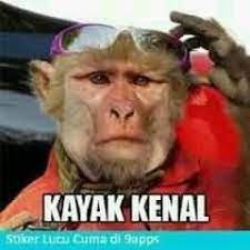 Menakjubkan 23 Perang Gambar Lucu Di Grup Gambar Lucu Banget Gambar Lucu Wajah Lucu Lucu