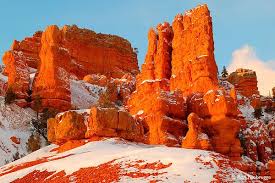 Dixie National Forest Red Canyon Utah Amazing Color In Person At Sunset Grand Staircase National Monument Utah National Parks Utah Parks