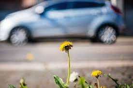 Are Hybrid Cars Worth It The Answer Will Surprise You Moneysmartguides Com