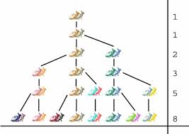 the mathematics of rabbit island maths careers