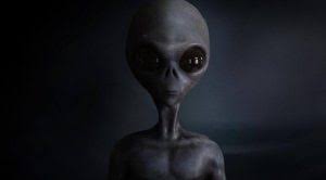 Patlamaya Devam Skachat Download Ringtone Free Ringtones Lyrics