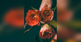 Flower garden & gifts by debbie proudly serves hogansville and the surrounding areas. Barbara Garrett Washington Obituary Visitation Funeral Information