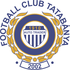 Cartoon football, estonia national football team, hungary national football team, uefa european football championship, fifa world cup european qualifiers, bosnia and herzegovina national football team, uefa europa league, sports cup transparent background png clipart. Hungarian Football Federation Logo Download Logo Icon Png Svg