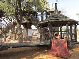 Tree House 3 In The El Paso Zoo Playground Has A Racing Slide And A Net Climber For Younger Children El Paso Zoo Tree House Zoo