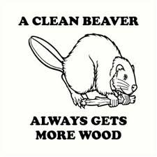 A Clean Beaver Always Gets More Wood Essential T Shirt By Bawdy Clean Beaver Beaver Tshirt Colors