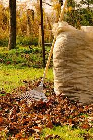 Wash the leaves & allow to properly dry. Shredded Leaves Are Garden Gold Longfield Gardens