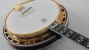 How to play 5 string banjo. Introduction To The 5 String Banjo Guitar Noise