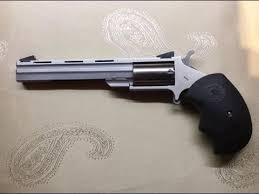 Image result for Magnum MiniMag