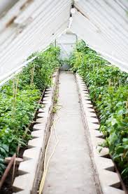 Hilda Grahnat The Greenhouse Backyard Greenhouse Greenhouse Greenhouse Gardening