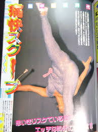 日本代購代標第一品牌【樂淘letao】－6339／アクション写真塾 1995年7月号  アイドル投稿穂澄美咲三咲加奈森かすみ櫻井えみ榎木瑠衣子桐沢りえ松田小百合星野めぐり