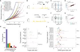 Discovery of target genes and pathways at GWAS loci by pooled single-cell  CRISPR screens | Science