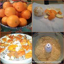 Apple peels fertilizer for plants! Save Your Citrus Peels Dry Them Out And Grind Them Up To Make A Natural Fertilizer For Your Garden Organic Gardening Soil Organic Gardening Garden Fertilizer