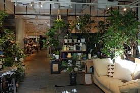 一桌四椅的生活 在actus青山店裡 客餐廳合一的小坪數陳列示範 yam天空部落 entrance plants