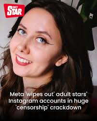 It seems like a lot of adults performers, p*** stars, operate a somewhat  family friendly or safe account