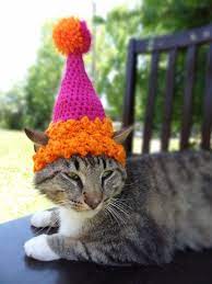Cat Dog Birthday Party Hat The Custom Birthday Party Hat For Cats And Small Dogs Custom Colors Cat Birthday Hat For Cat Dog Birthday Party