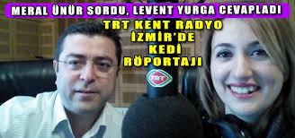 Evdeki Herkes Kedilerin Kolesidir Haber Hurriyeti