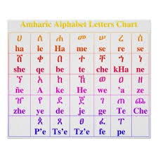 Amharic Alphabet Letters Chart 33 Degree Poster Zazzle