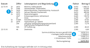 Man kann die auslagen aber auch einfach mit in den angebotspreis einkalkulieren. Goa Rechnung Fur Schonheitsoperation Verstandlich Erklart