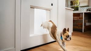 This 3 000 Smart Dog Door Comes With An App And A Special Collar Robb Report