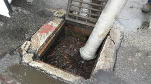 Best new orleans clean hotels. Storm Drain Cleaning