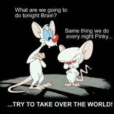 After snowball gives him the chance to try and. Pinky And The Brain Meme Gif