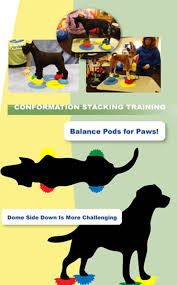 The fitpaws paw pods feature sensory bumps on top for neural stimulation and grip capability. Fitpaws Pawpods Fit Paws Agility World