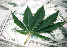 Hoy en día el senado de la. Eeuu Estos Estados Podrian Legalizar La Marihuana En 2021 Newsweek Argentina