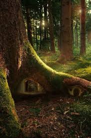 Many Bad Puns Little Houses In The Forest Idril S Secret Way Fairy Garden Fairy Houses Fairy Tree